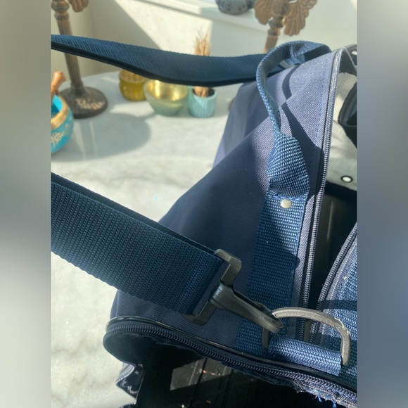 International Flight Approved Pet Carrier. Roomy. Will fit a pug or frenchie. - Picture 4 of 10